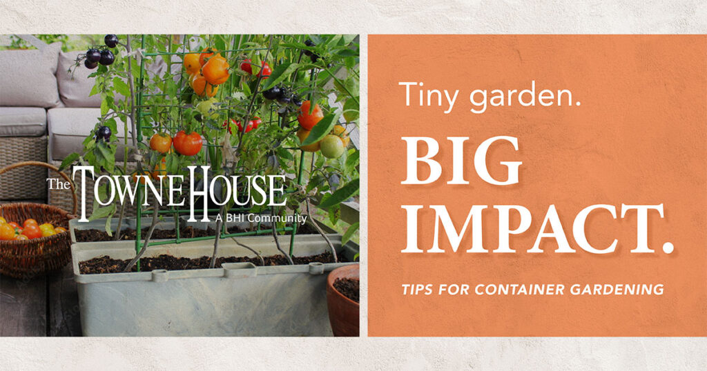 Five Quick Tips for Growing a Flourishing Container Garden